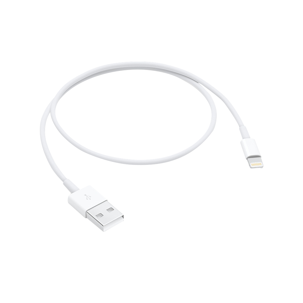 Apple Lightning to USB Cable (0.5 m)